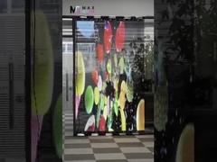 Shenzhen Maxcolor visivo